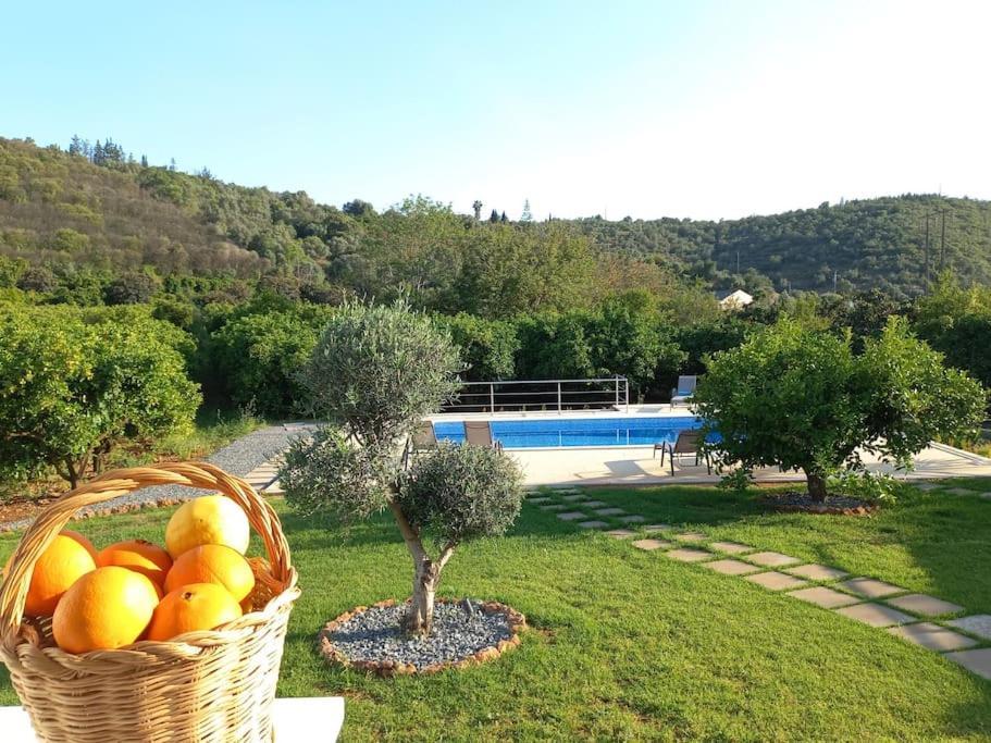 Casa Citrus Limão - Between the Hills&the Ocean Silves Exterior foto